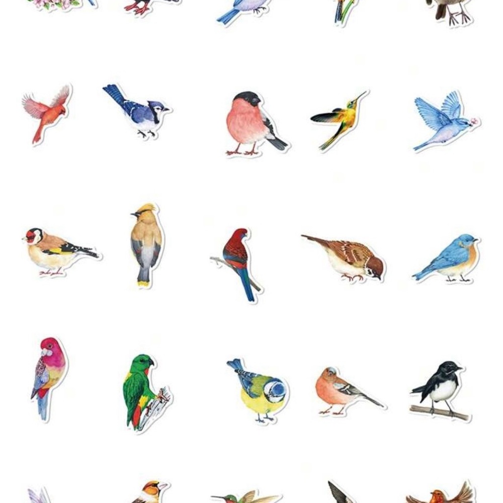 50 Colorful Bird Stickers - Picture 4 of 9